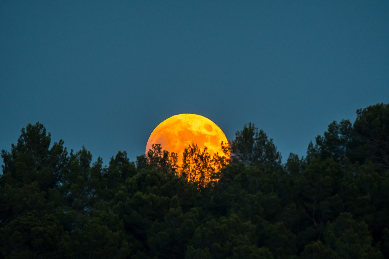 Mond und Beauty